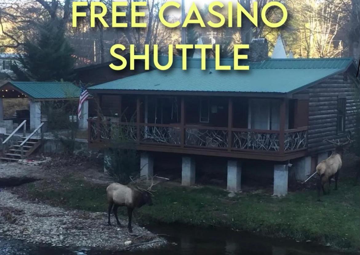 Qualla Cabins And Motel Cherokee Near Casino Whittier Ngoại thất bức ảnh