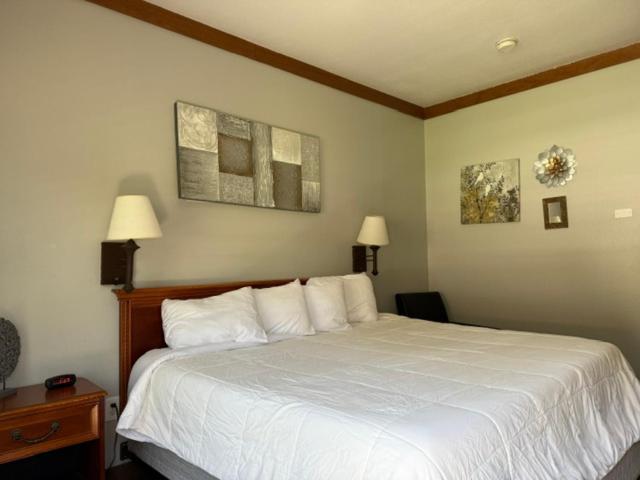 Qualla Cabins And Motel Cherokee Near Casino Whittier Ngoại thất bức ảnh