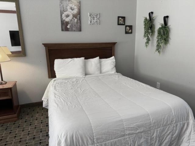 Qualla Cabins And Motel Cherokee Near Casino Whittier Ngoại thất bức ảnh